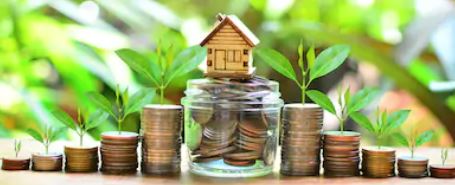 Property market remains very bullish